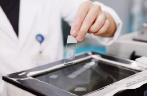 Digital Pathology Application Case Study