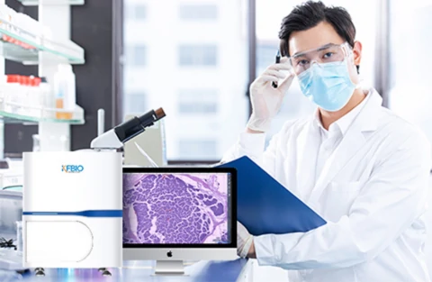 Digital Pathology Workflow