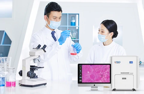 Digital Pathology Knowledge