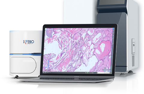 Digital Pathology Application Case Study
