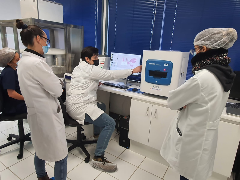 Patólogos de ultramar utilizan el escáner del KFBIO